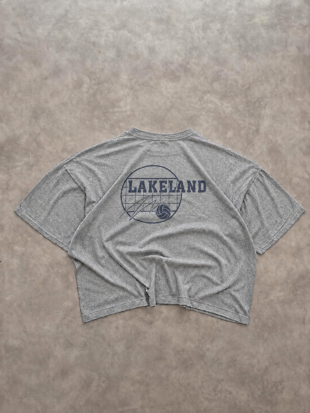 Tee-Shirt Russell Athletic Vintage Lakeland REC Gris – Sportswear US