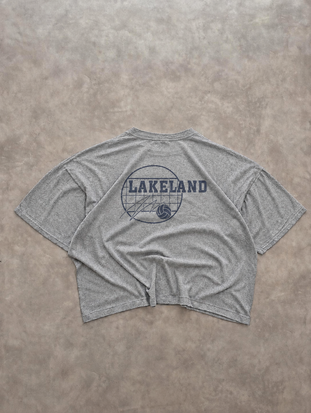 Tee-Shirt Russell Athletic Vintage Lakeland REC Gris – Sportswear US