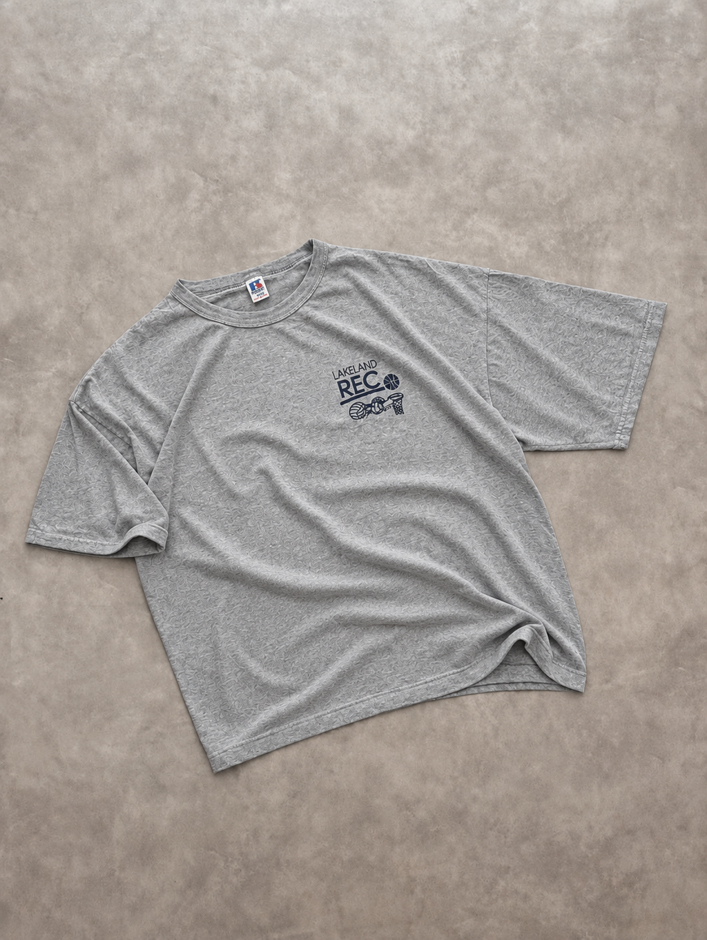 Tee-Shirt Russell Athletic Vintage Lakeland REC Gris – Sportswear US