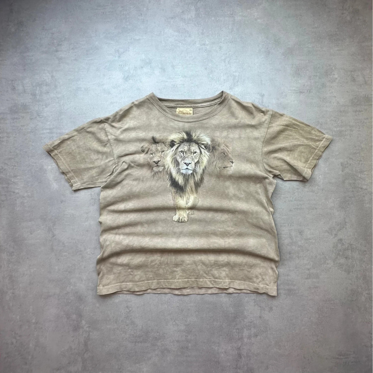 Tee-Shirt Vintage The Mountain Lions Beige