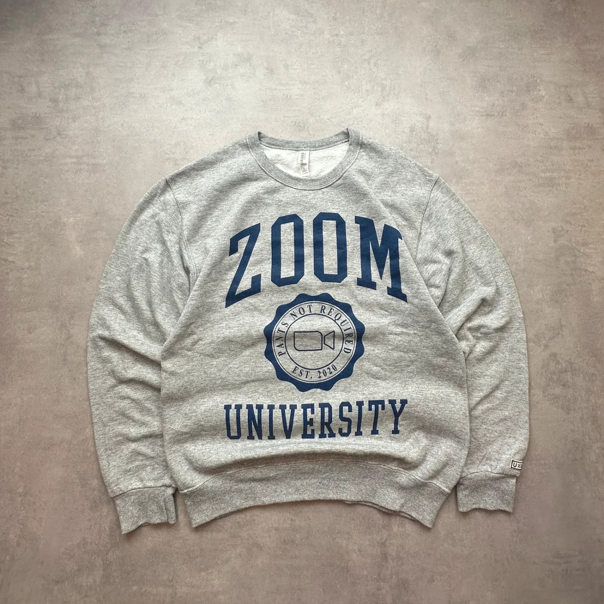 Sweat Vintage Zoom University Gris – College USA