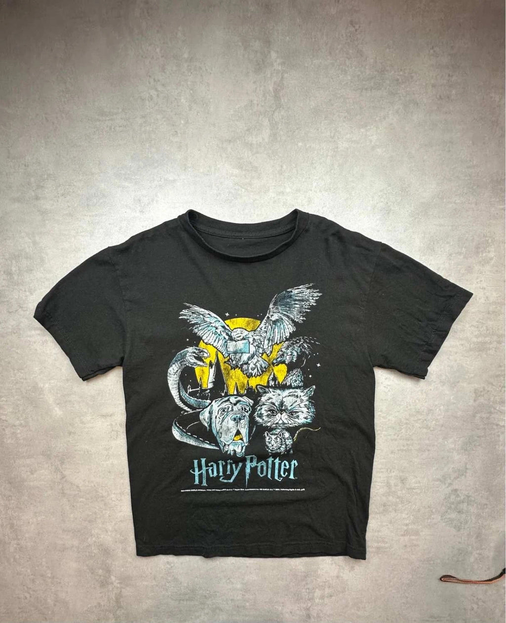 T-Shirt Vintage Harry Potter Créatures Magiques Noir