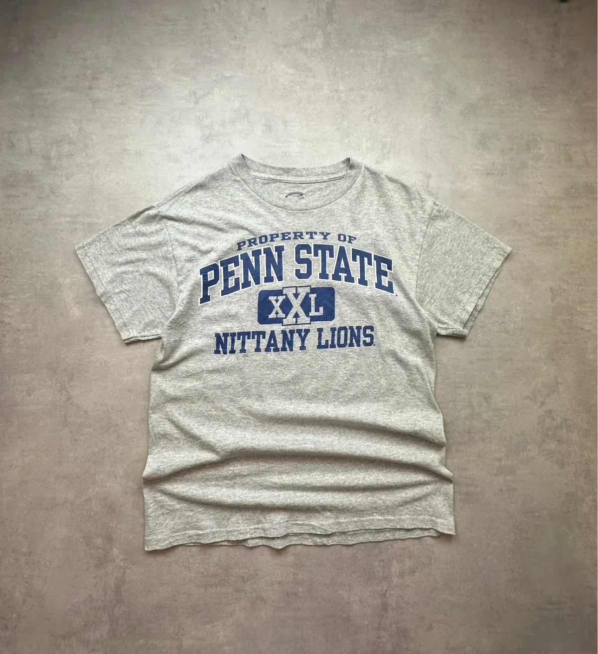 Tee-shirt Vintage Penn State University Gris Années 90