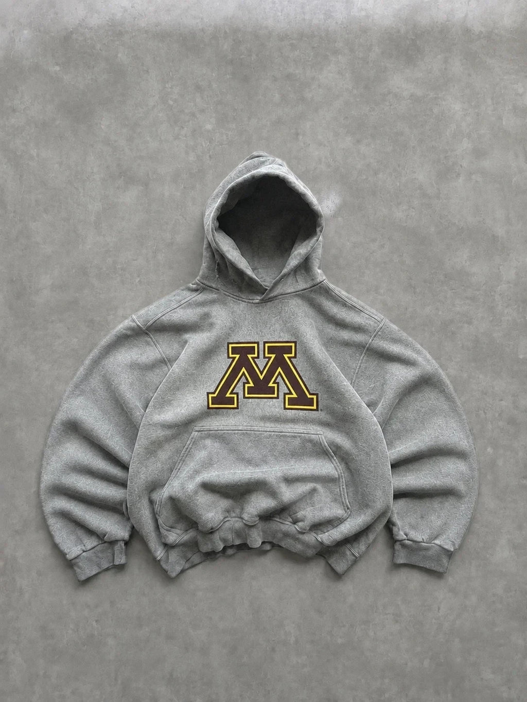 Hoodie Vintage University of Minnesota Golden Gophers Gris – Collegiate NCAA 90s