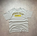 Tee-shirt NFL Vintage Pittsburgh Steelers | WellStore Vintage