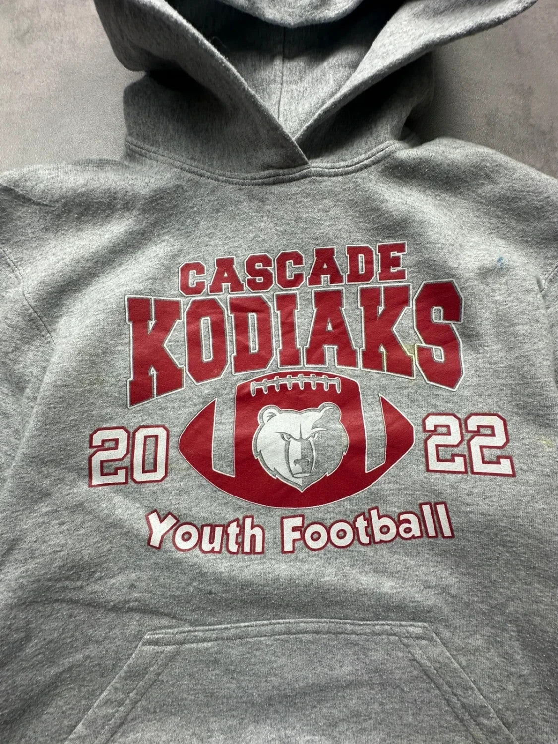 Sweat Vintage Cascade Kodiaks 2022 Gris
