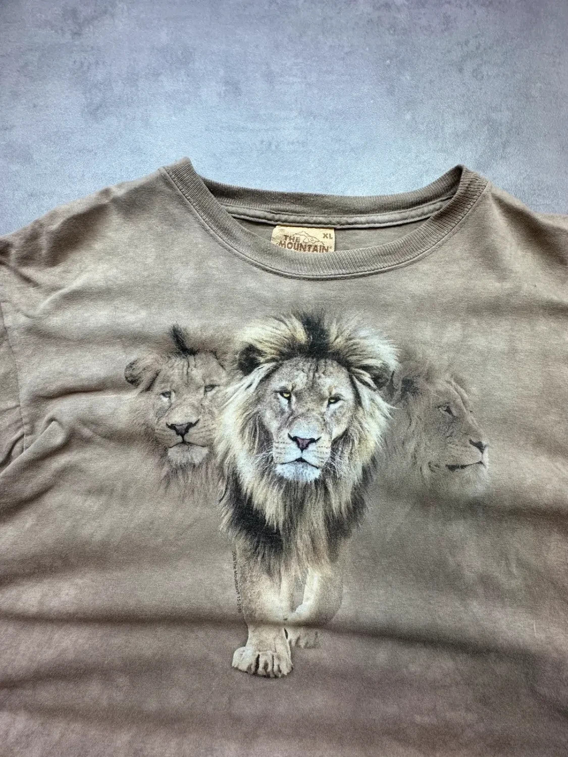 Tee-Shirt Vintage The Mountain Lions Beige