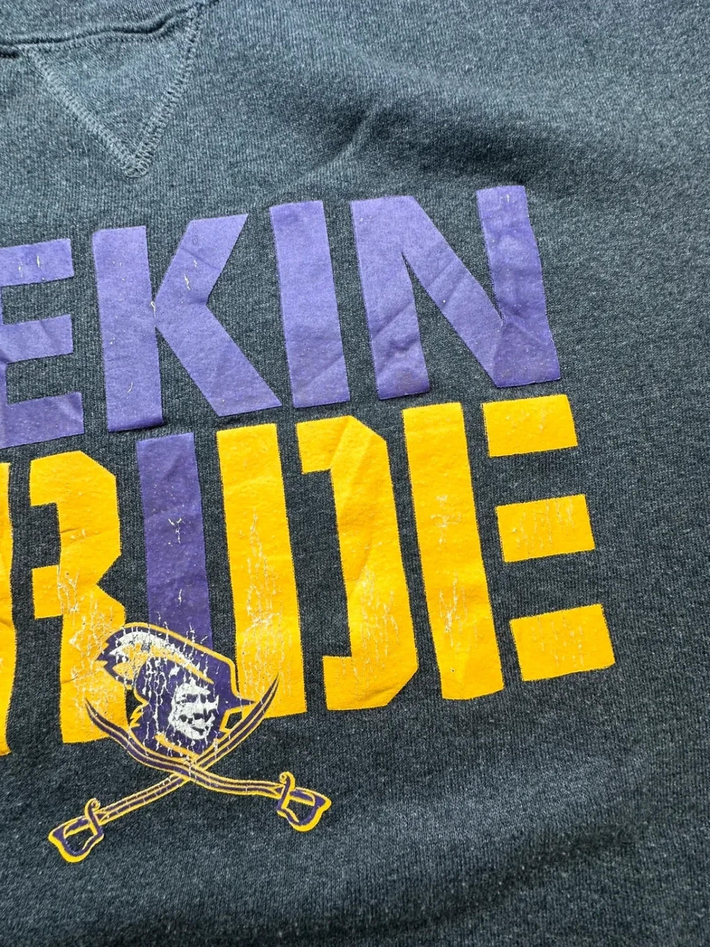Sweat Russell Athletic Vintage Pekin Pride Gris Foncé