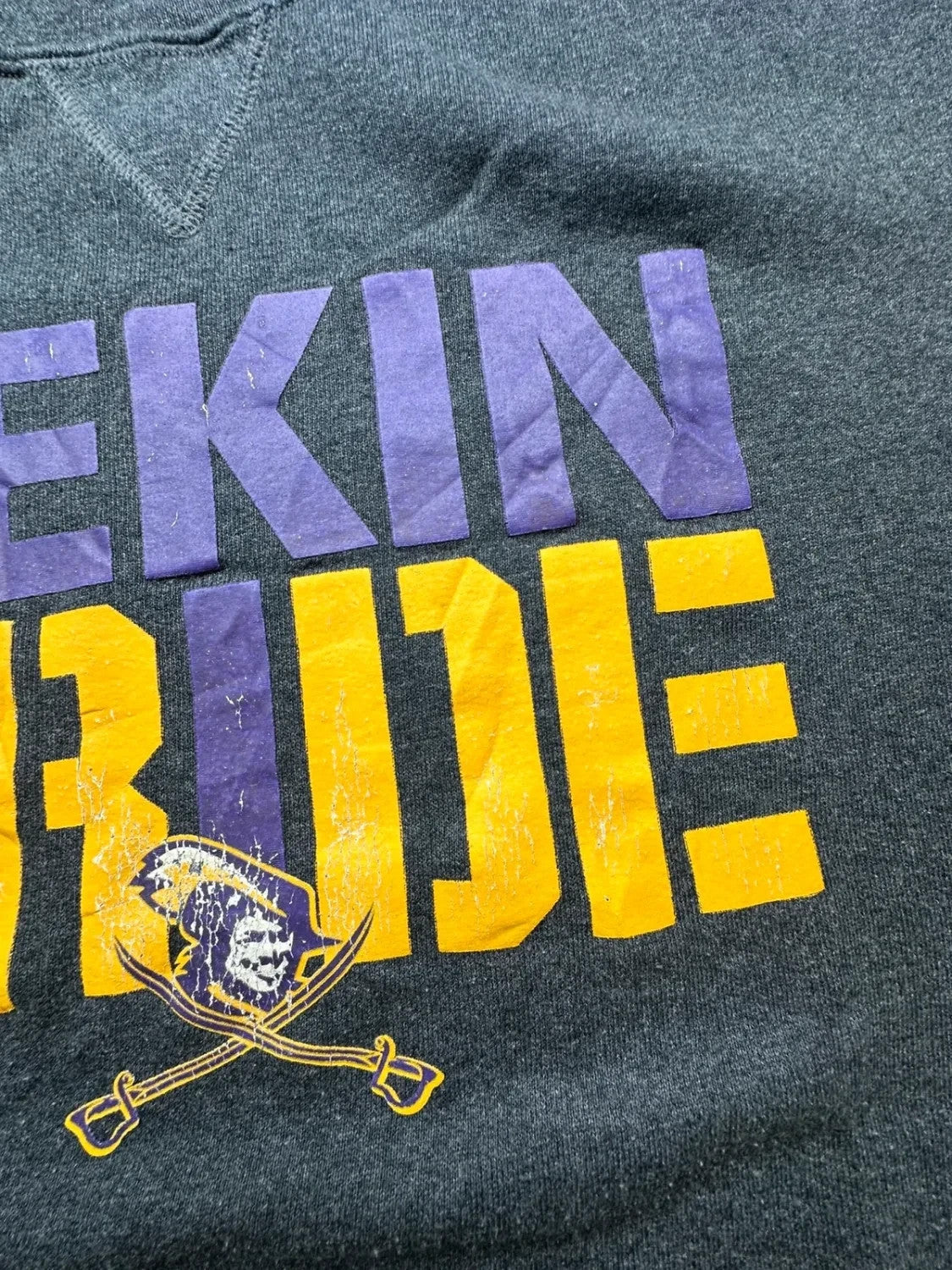 Sweat Russell Athletic Vintage Pekin Pride Gris Foncé