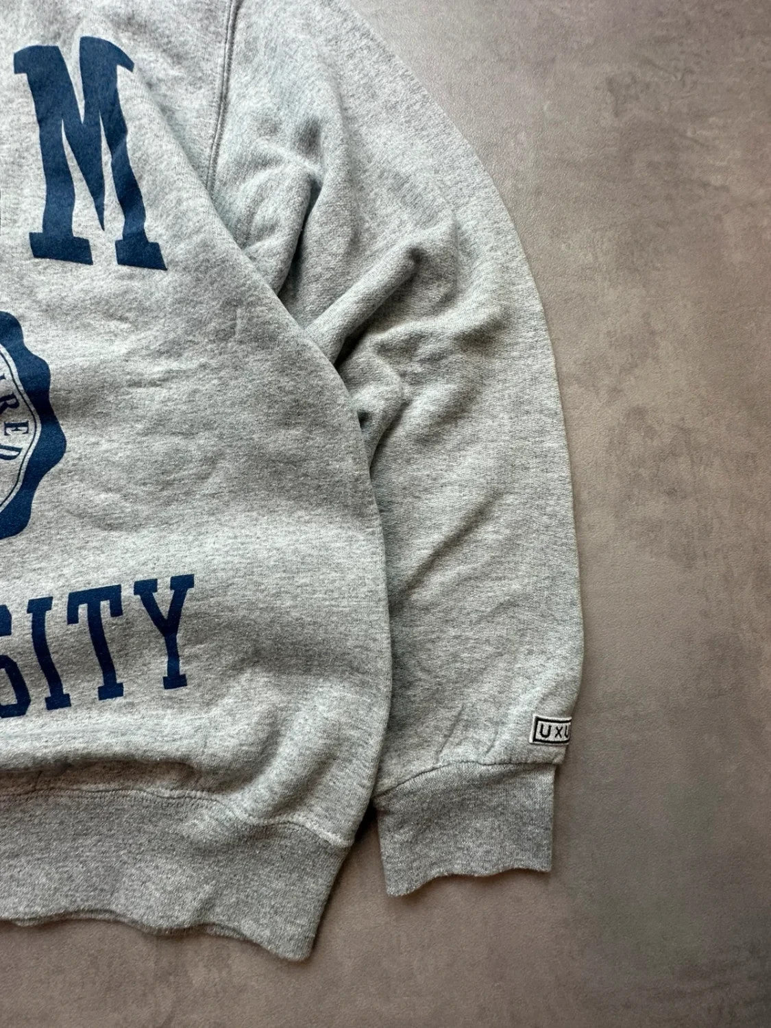 Sweat Vintage Zoom University Gris – College USA