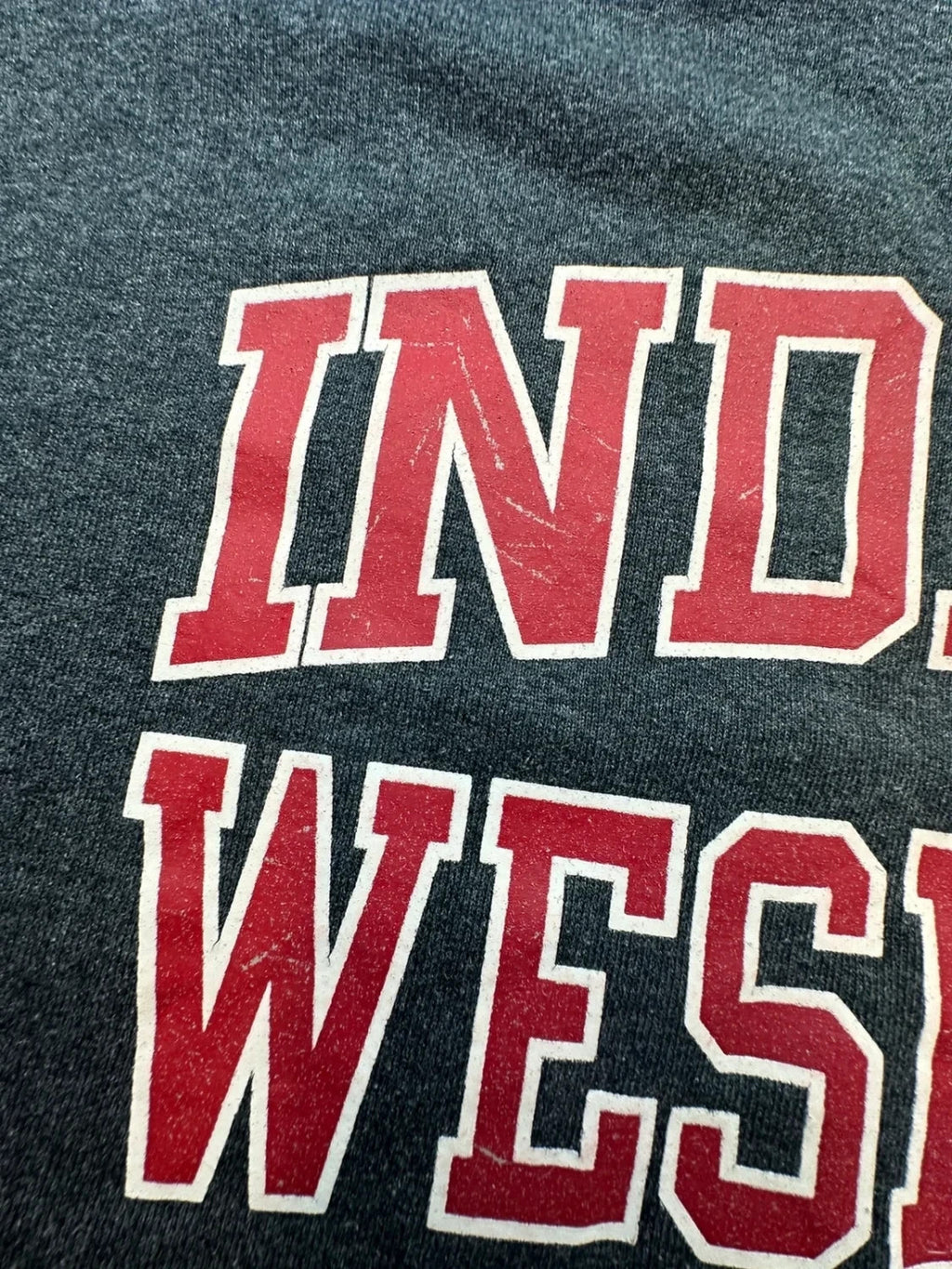 Sweat Russell Athletic Vintage Indiana Wesleyan Gris – College USA
