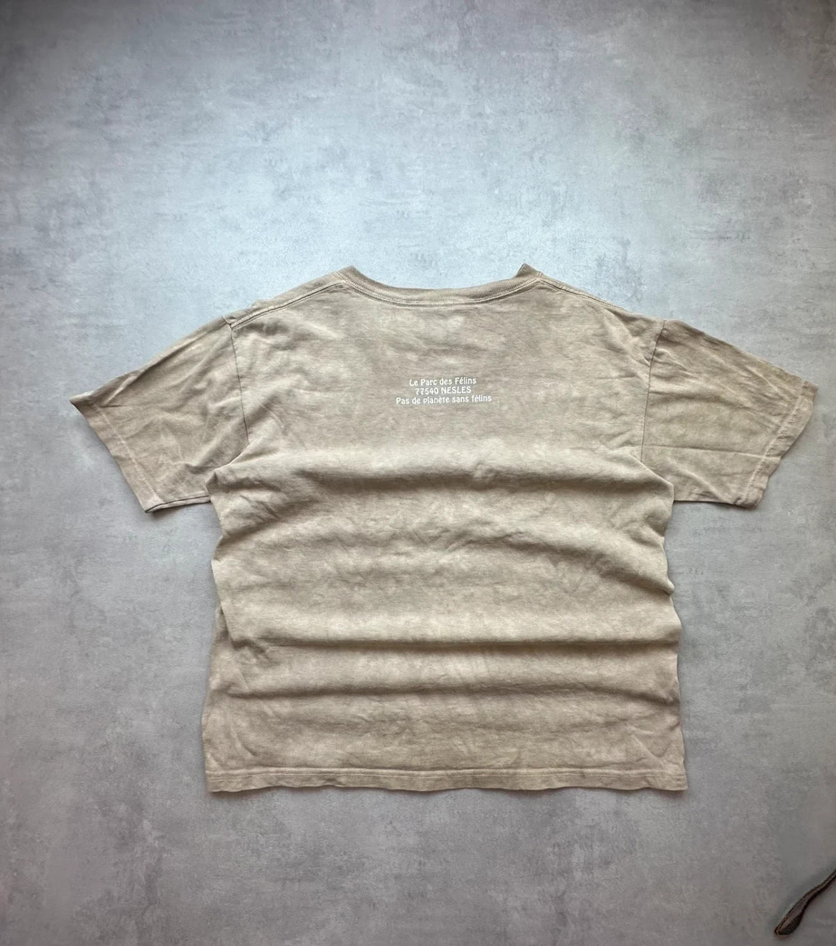 Tee-Shirt Vintage The Mountain Lions Beige