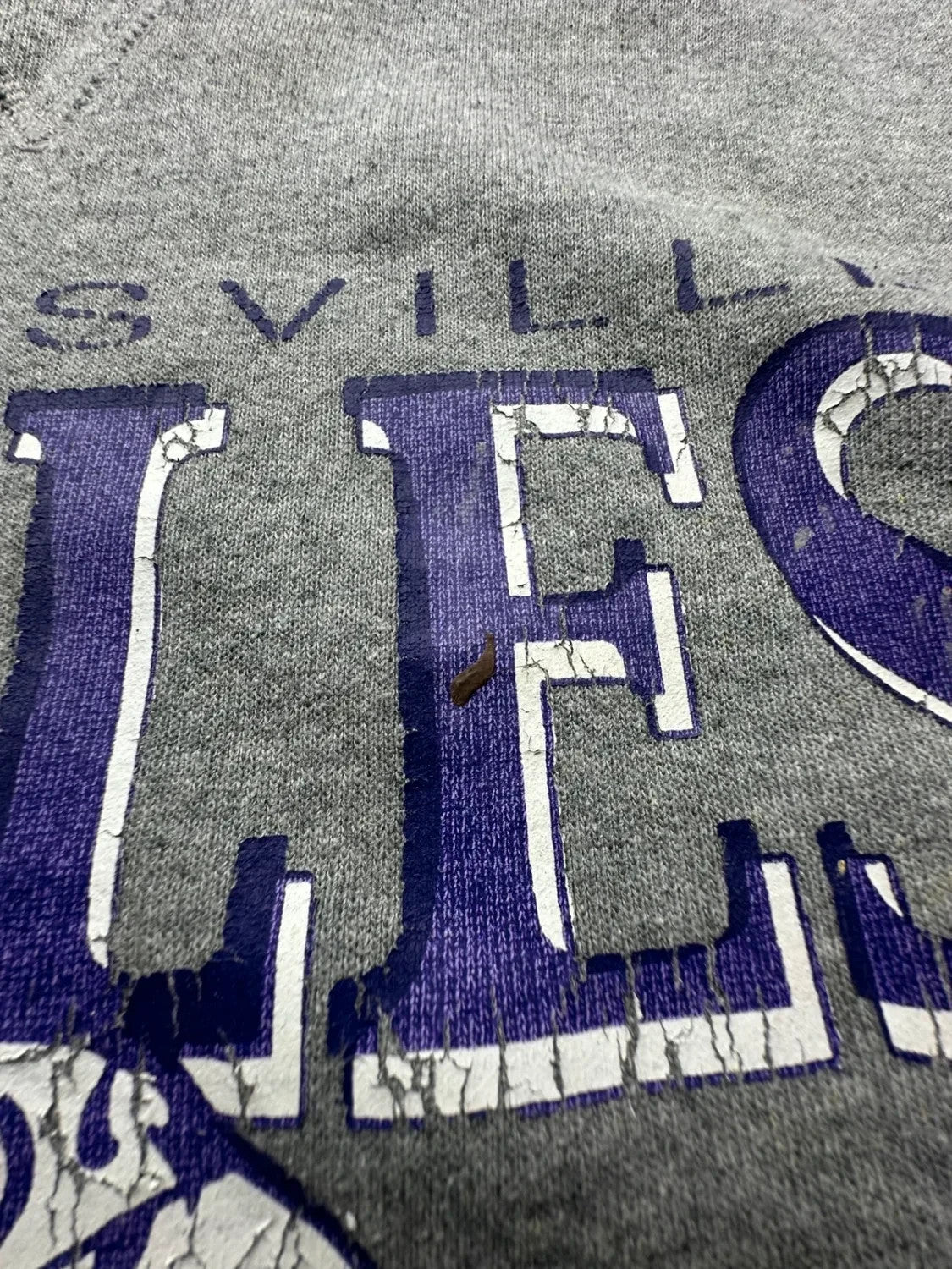 Sweat Russell Athletic Vintage Lanesville Eagles Gris