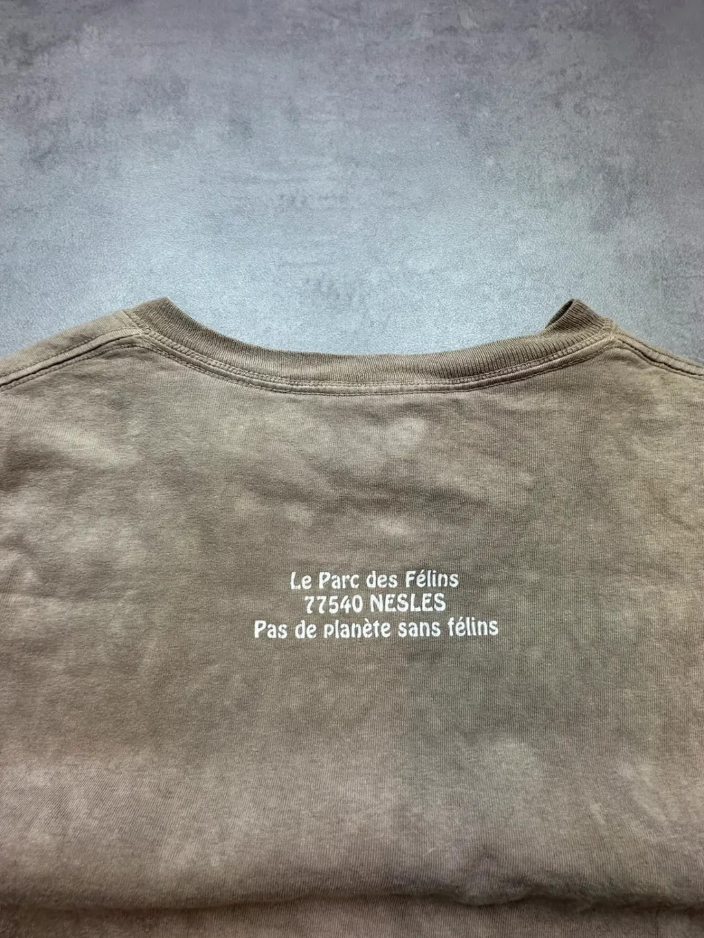 Tee-Shirt Vintage The Mountain Lions Beige