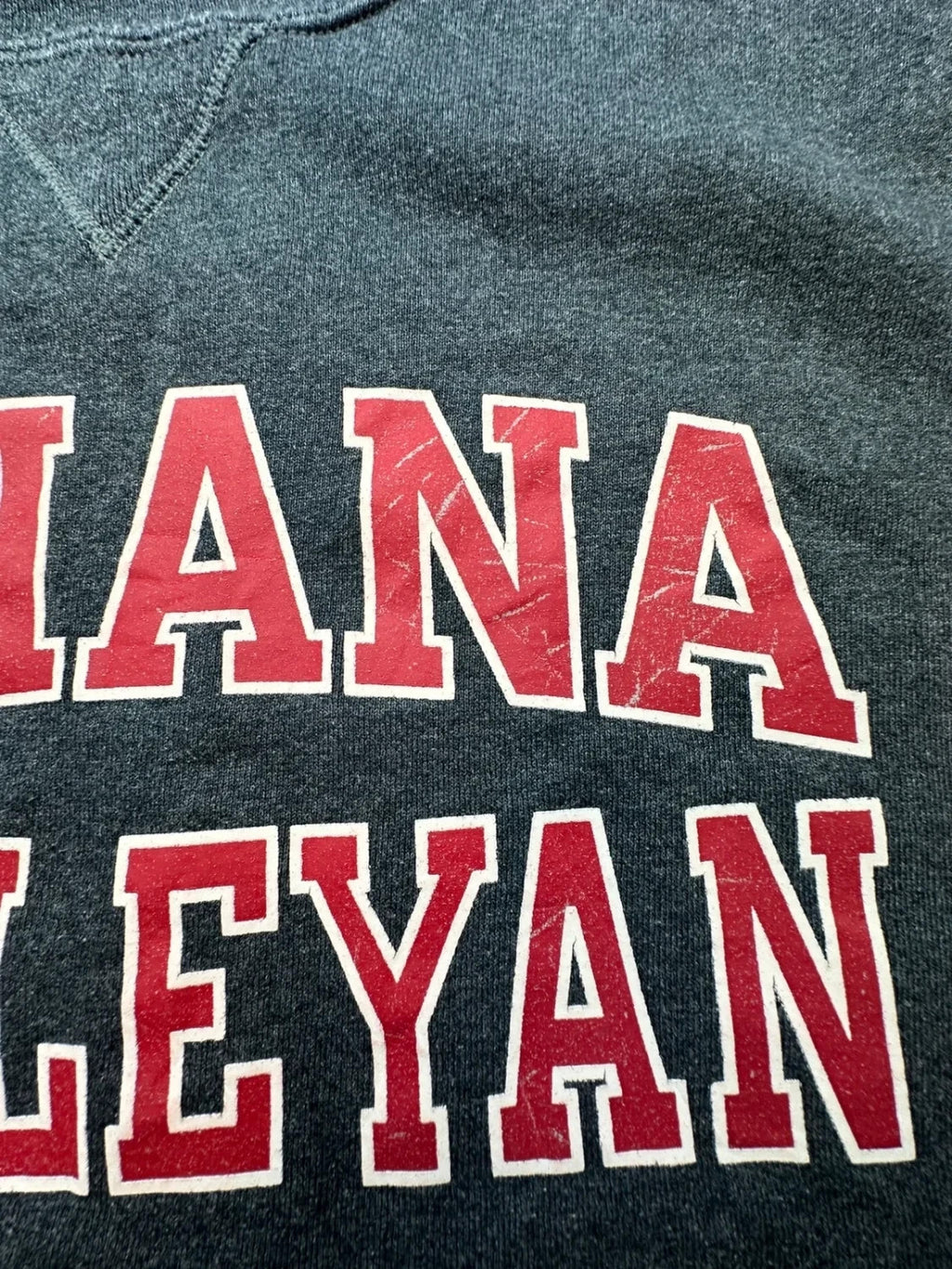 Sweat Russell Athletic Vintage Indiana Wesleyan Gris – College USA