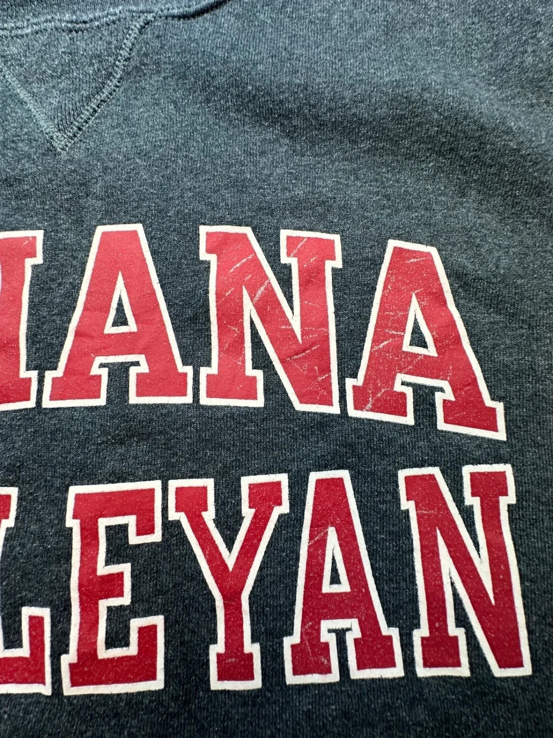 Sweat Russell Athletic Vintage Indiana Wesleyan Gris – College USA