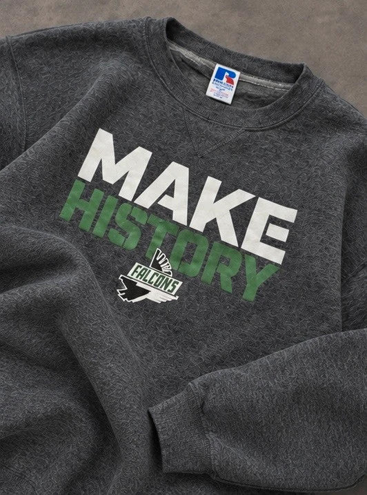 Sweat Falcons College USA Vintage Gris