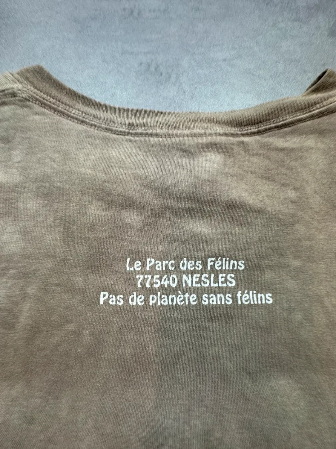Tee-Shirt Vintage The Mountain Lions Beige