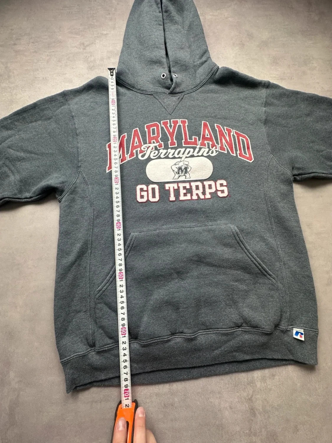 Sweat Vintage Russell Athletic Maryland Terrapins – Gris