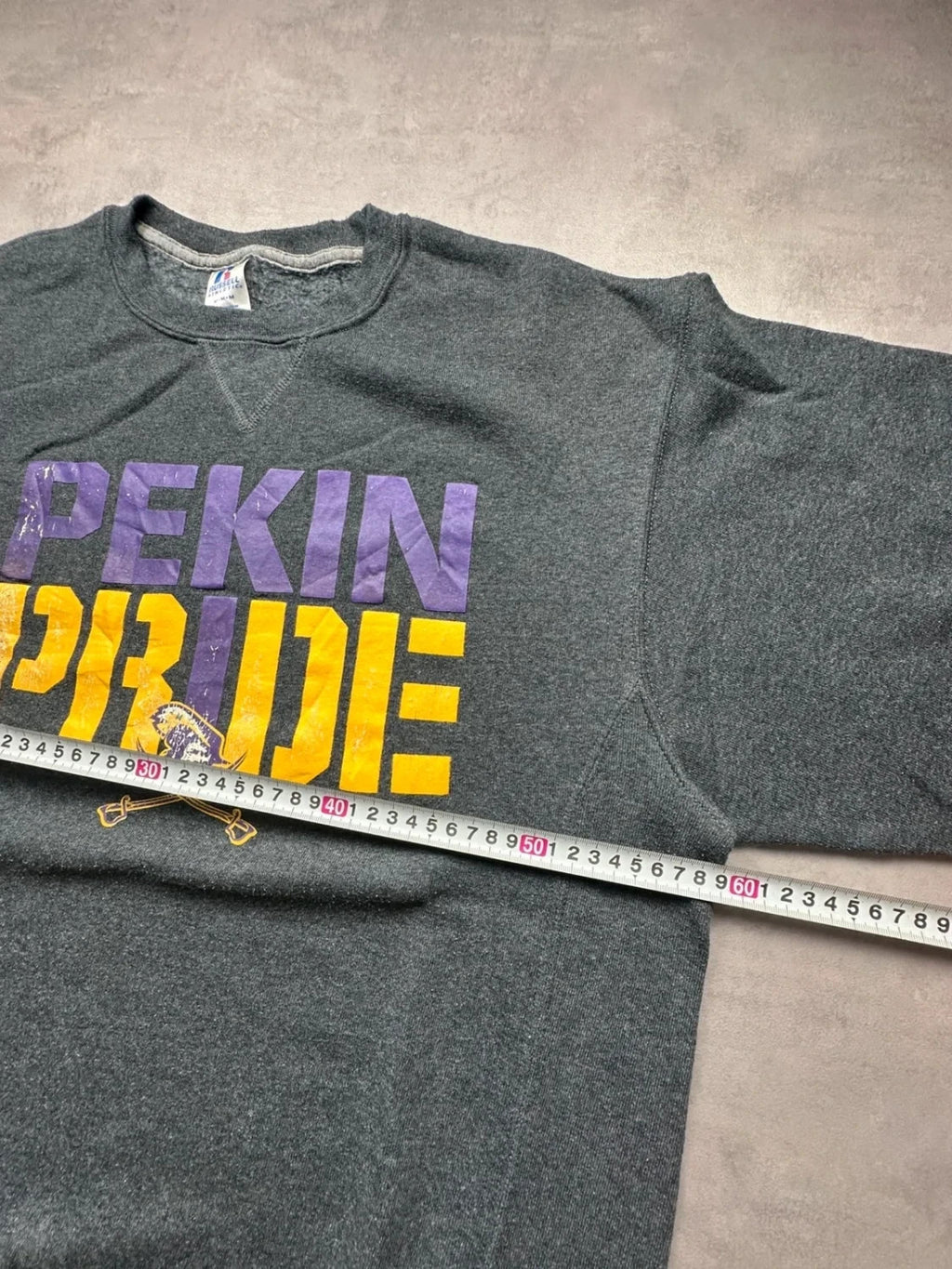 Sweat Russell Athletic Vintage Pekin Pride Gris Foncé