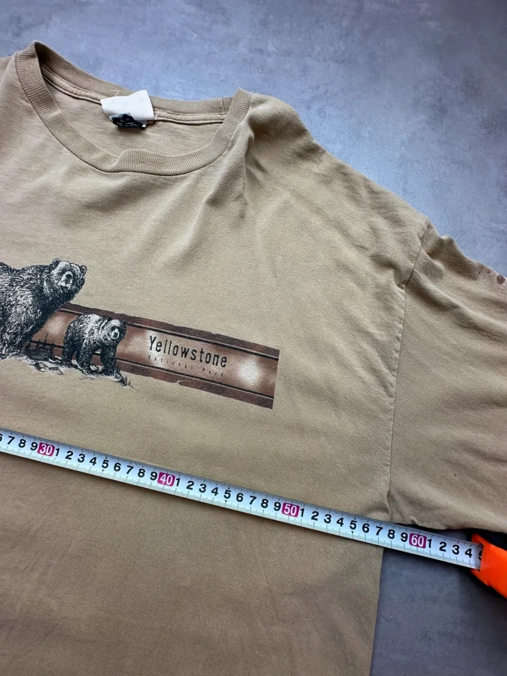 Tee-shirt Longsleeve Vintage Yellowstone Bears Beige
