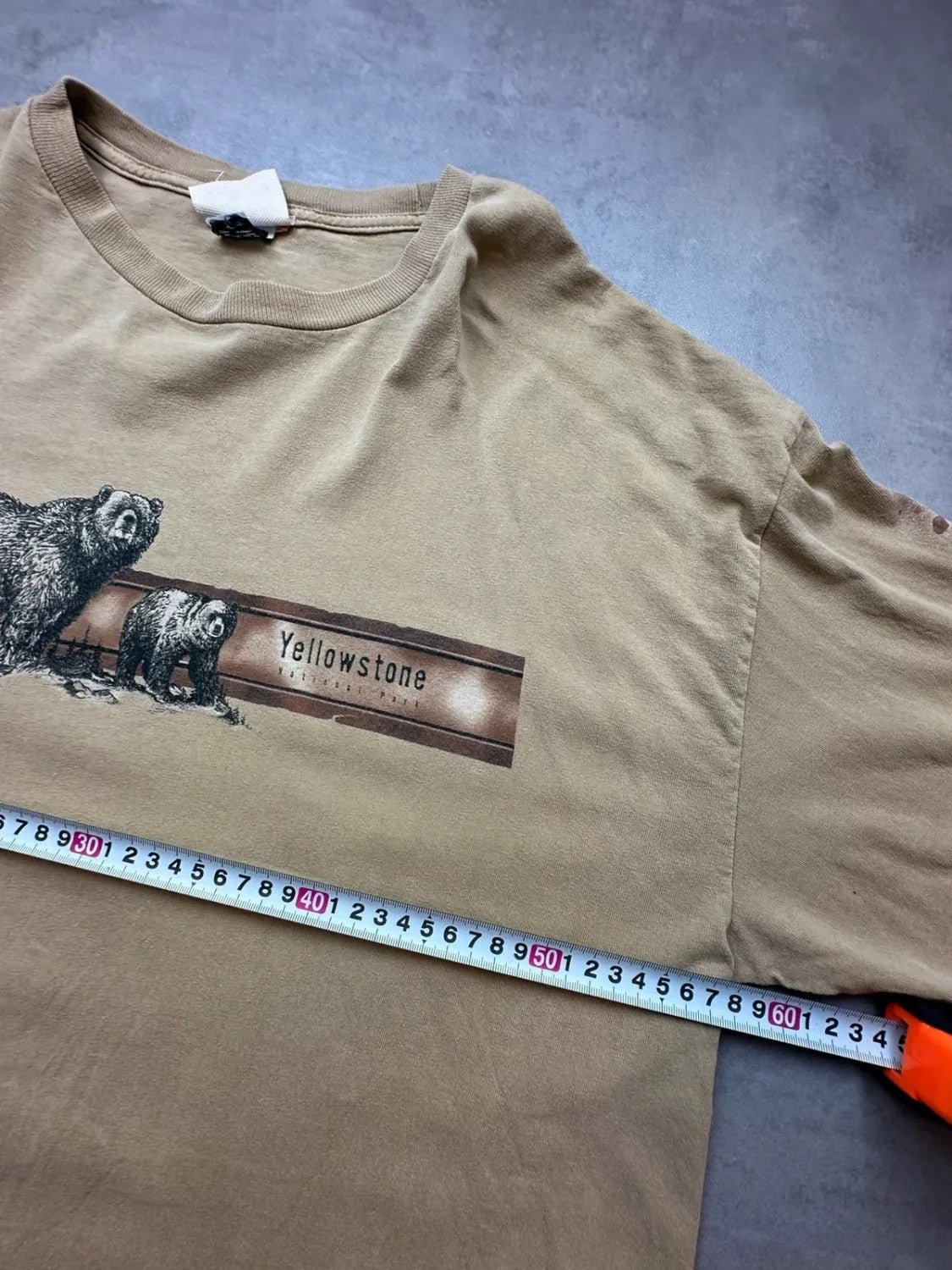 Tee-shirt Longsleeve Vintage Yellowstone Bears Beige