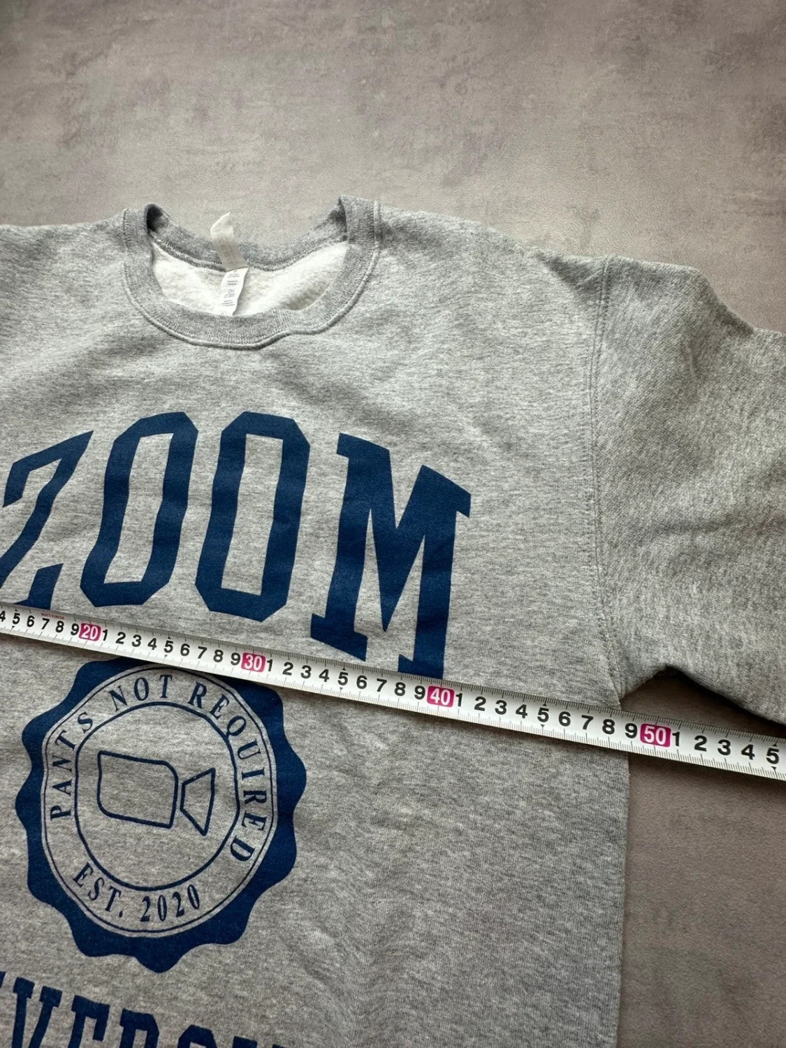 Sweat Vintage Zoom University Gris – College USA