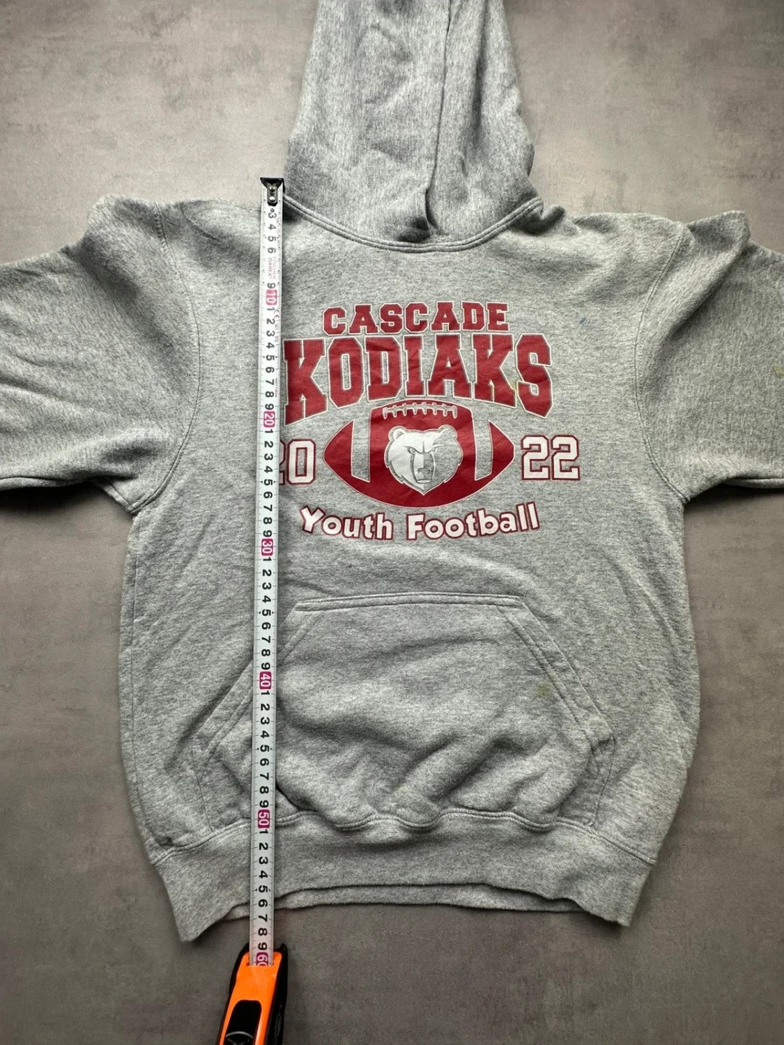 Sweat Vintage Cascade Kodiaks 2022 Gris
