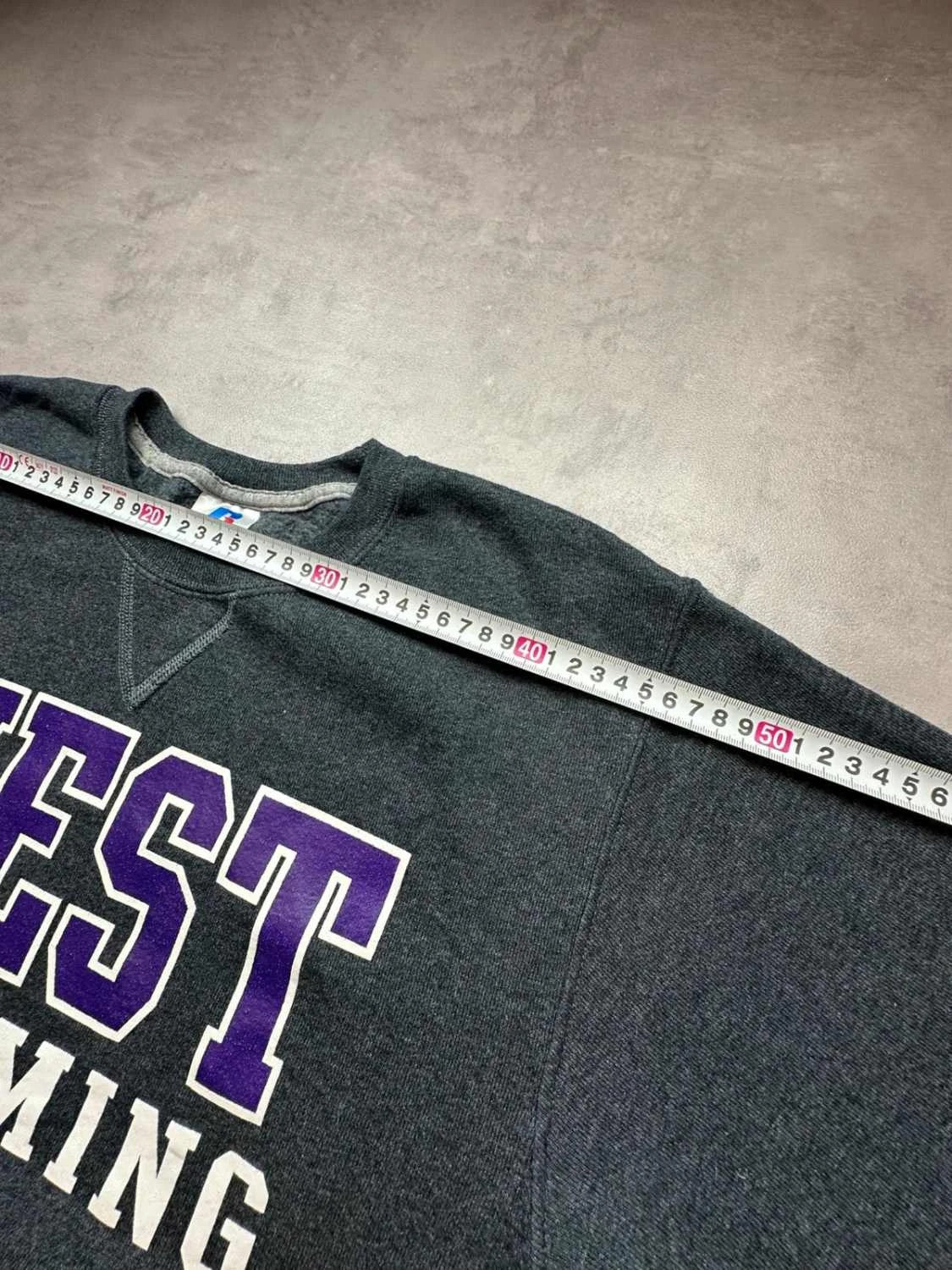 Sweat Russell Athletic Vintage West Swimming – Gris