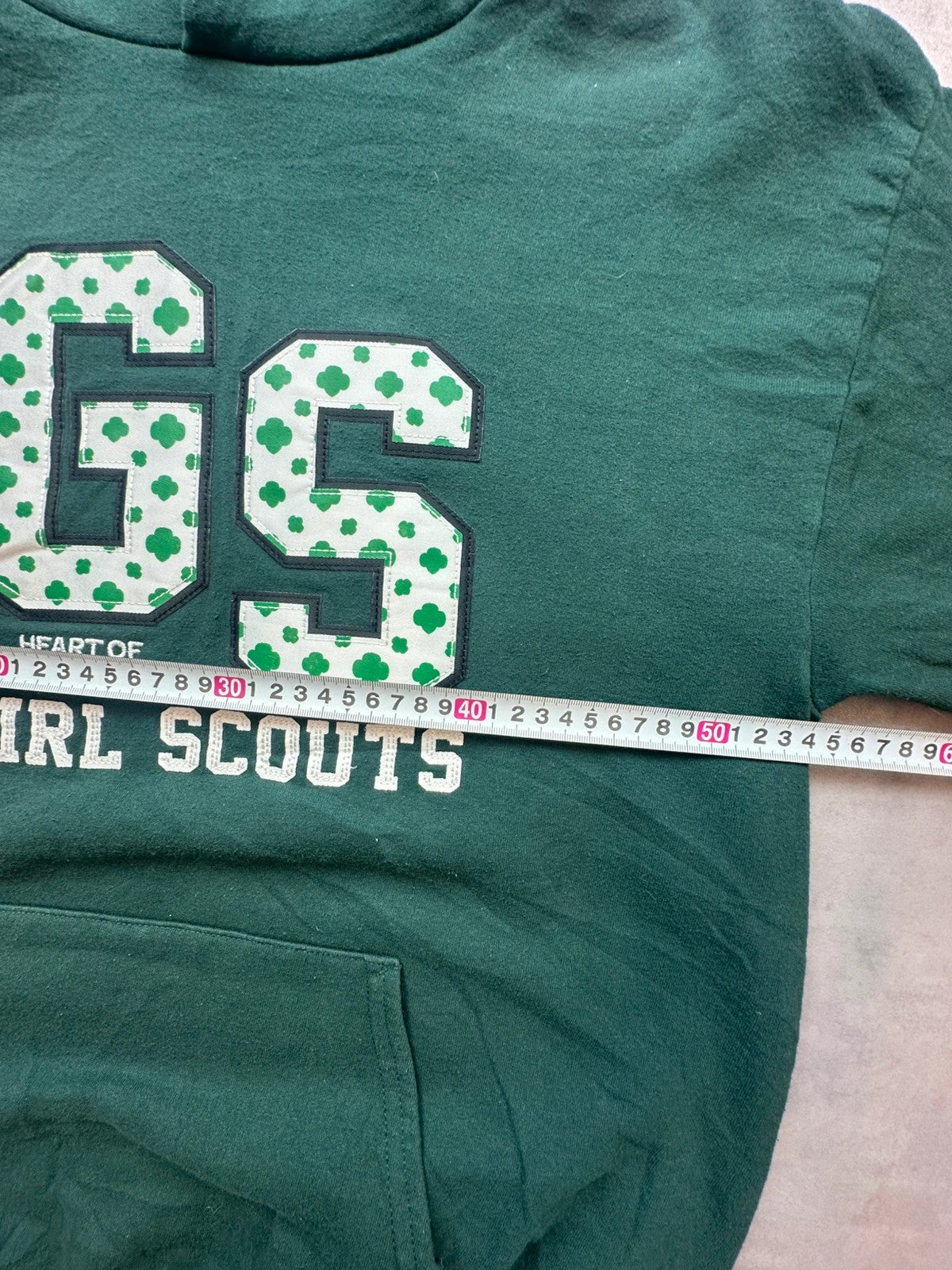 Hoodie Vintage Girl Scouts Heart of Michigan – Vert