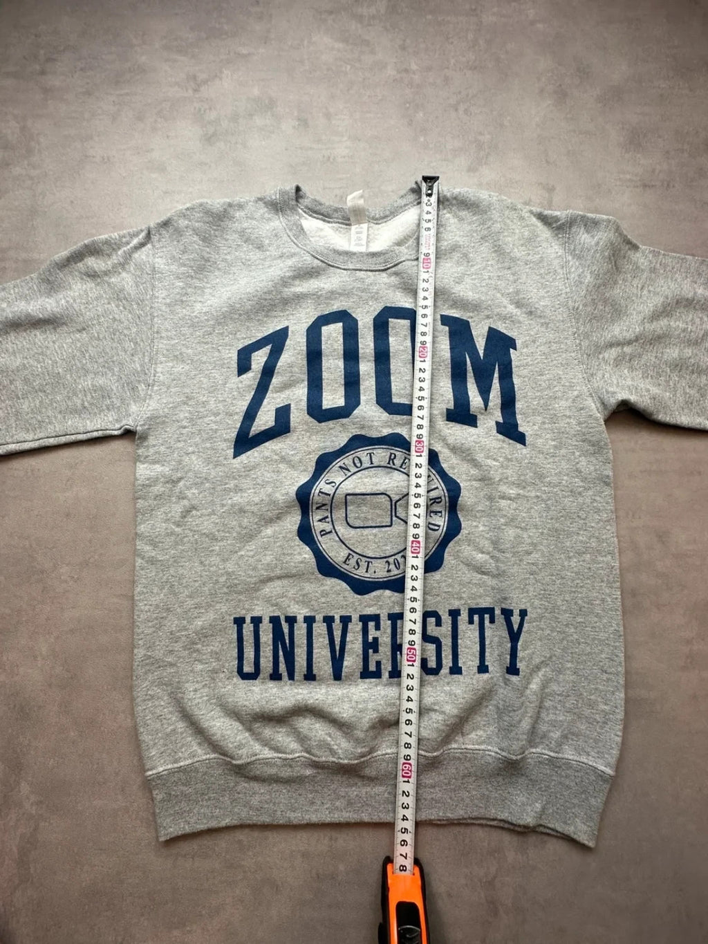 Sweat Vintage Zoom University Gris – College USA