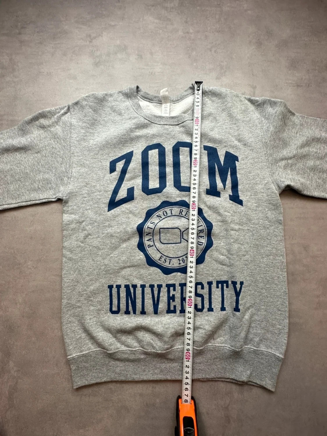 Sweat Vintage Zoom University Gris – College USA