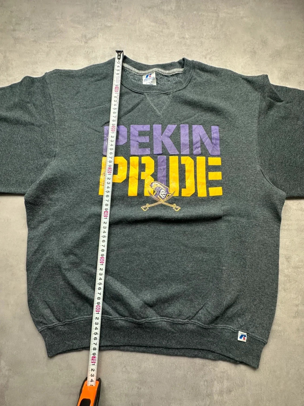 Sweat Russell Athletic Vintage Pekin Pride Gris Foncé