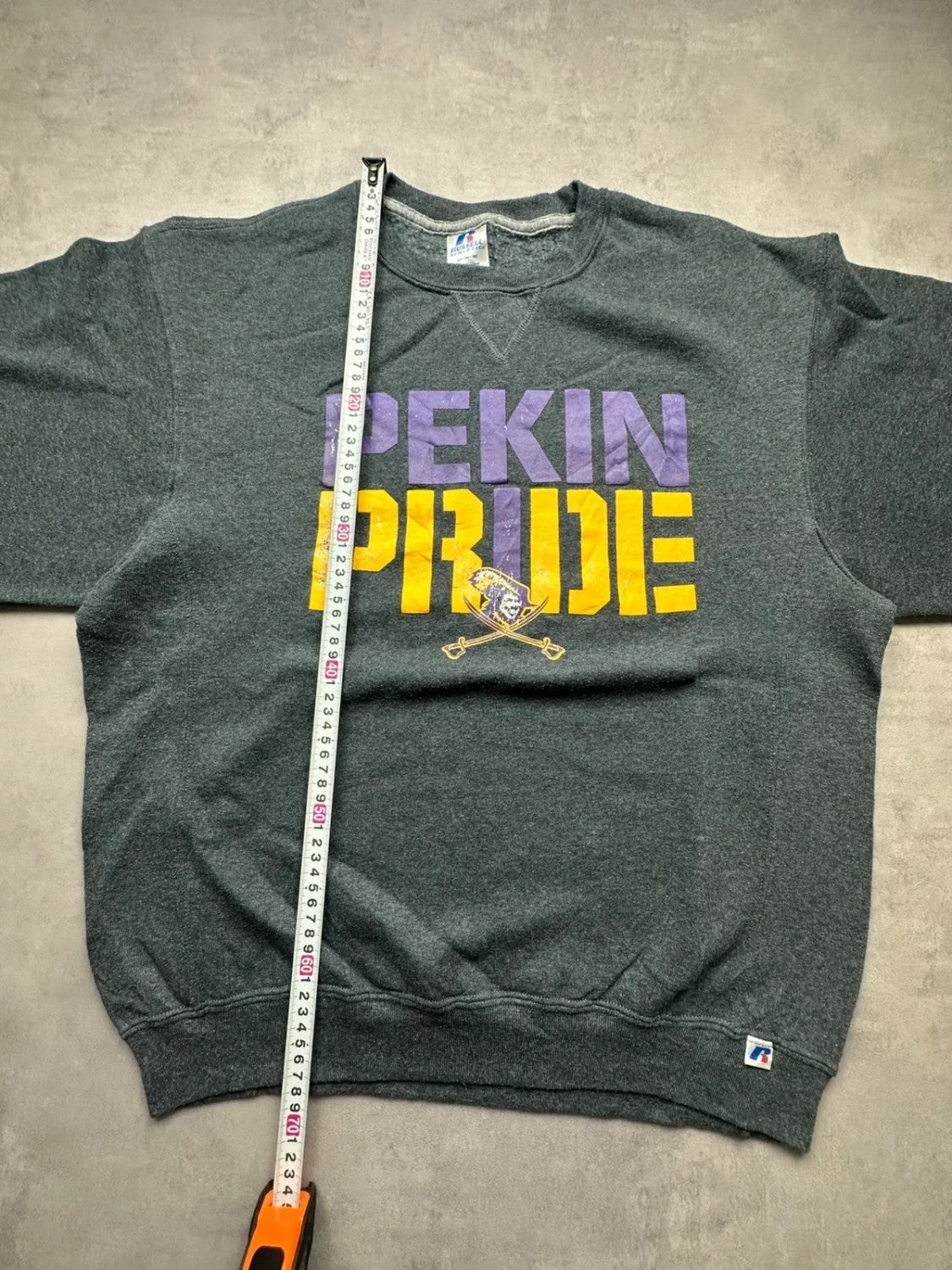 Sweat Russell Athletic Vintage Pekin Pride Gris Foncé