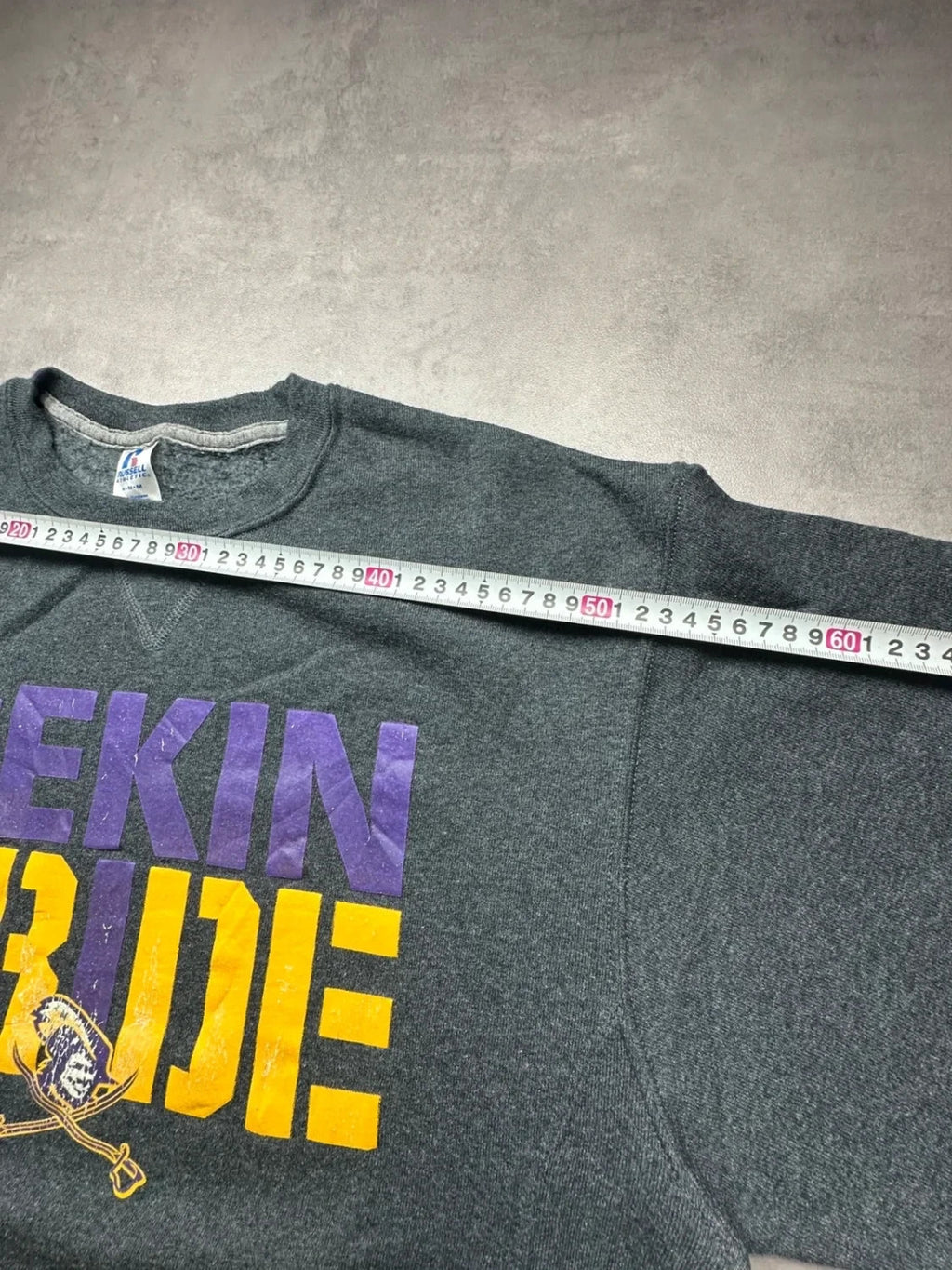 Sweat Russell Athletic Vintage Pekin Pride Gris Foncé