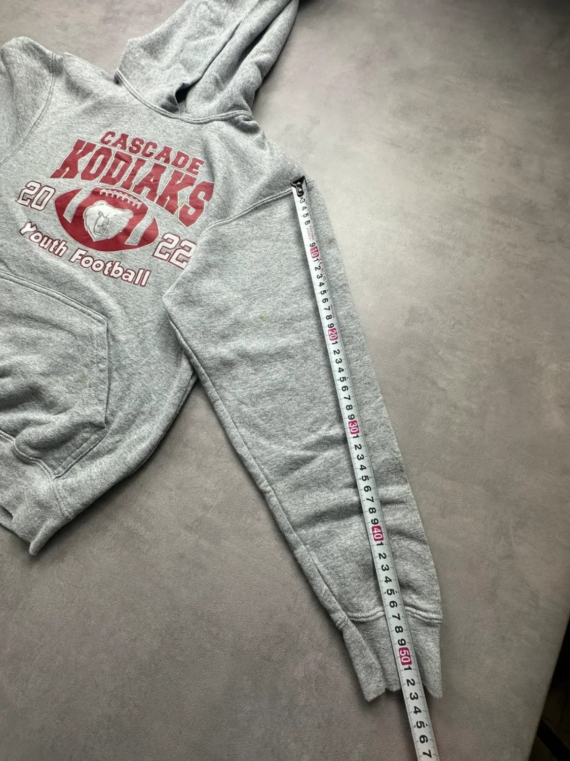 Sweat Vintage Cascade Kodiaks 2022 Gris