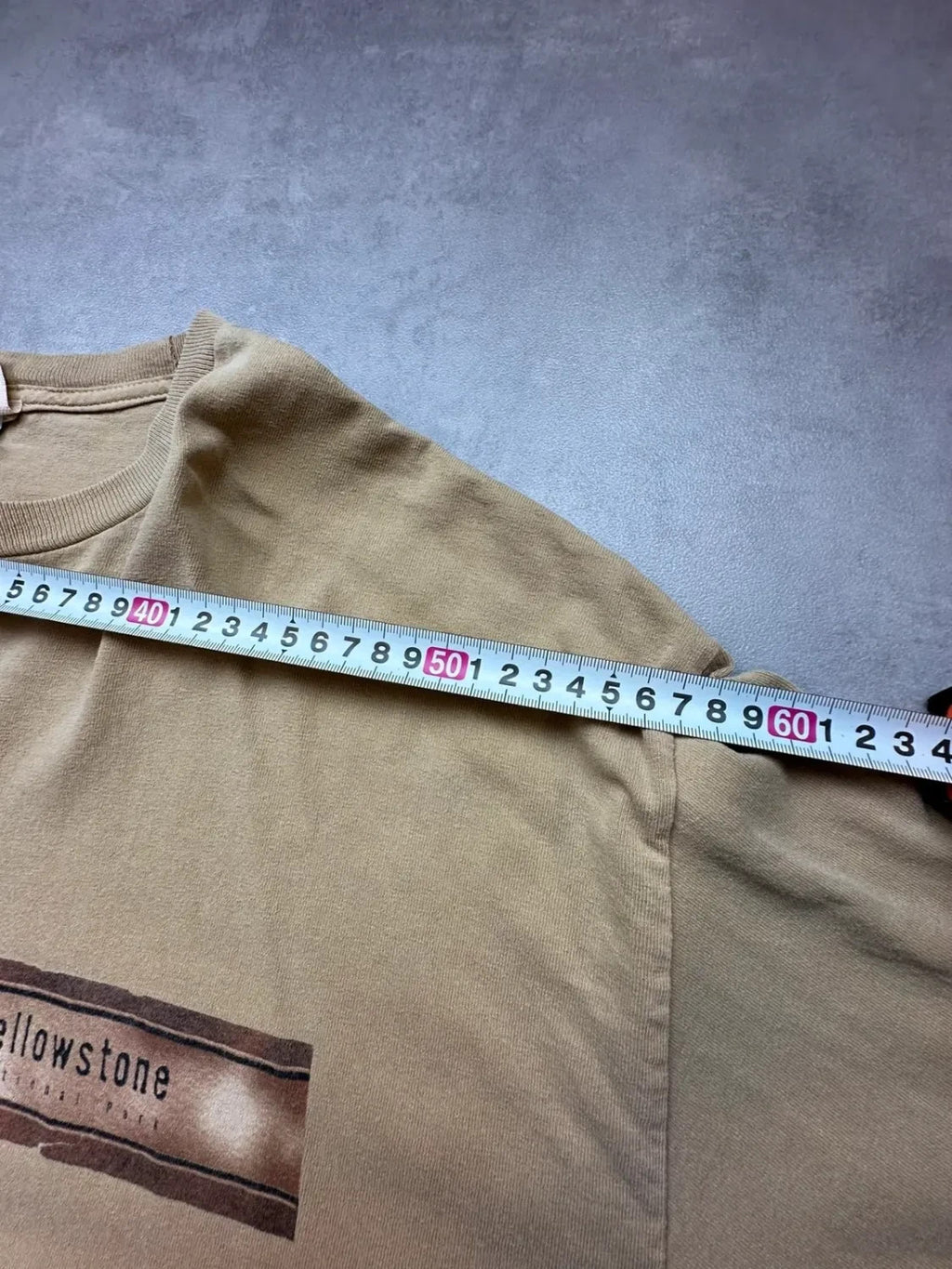 Tee-shirt Longsleeve Vintage Yellowstone Bears Beige