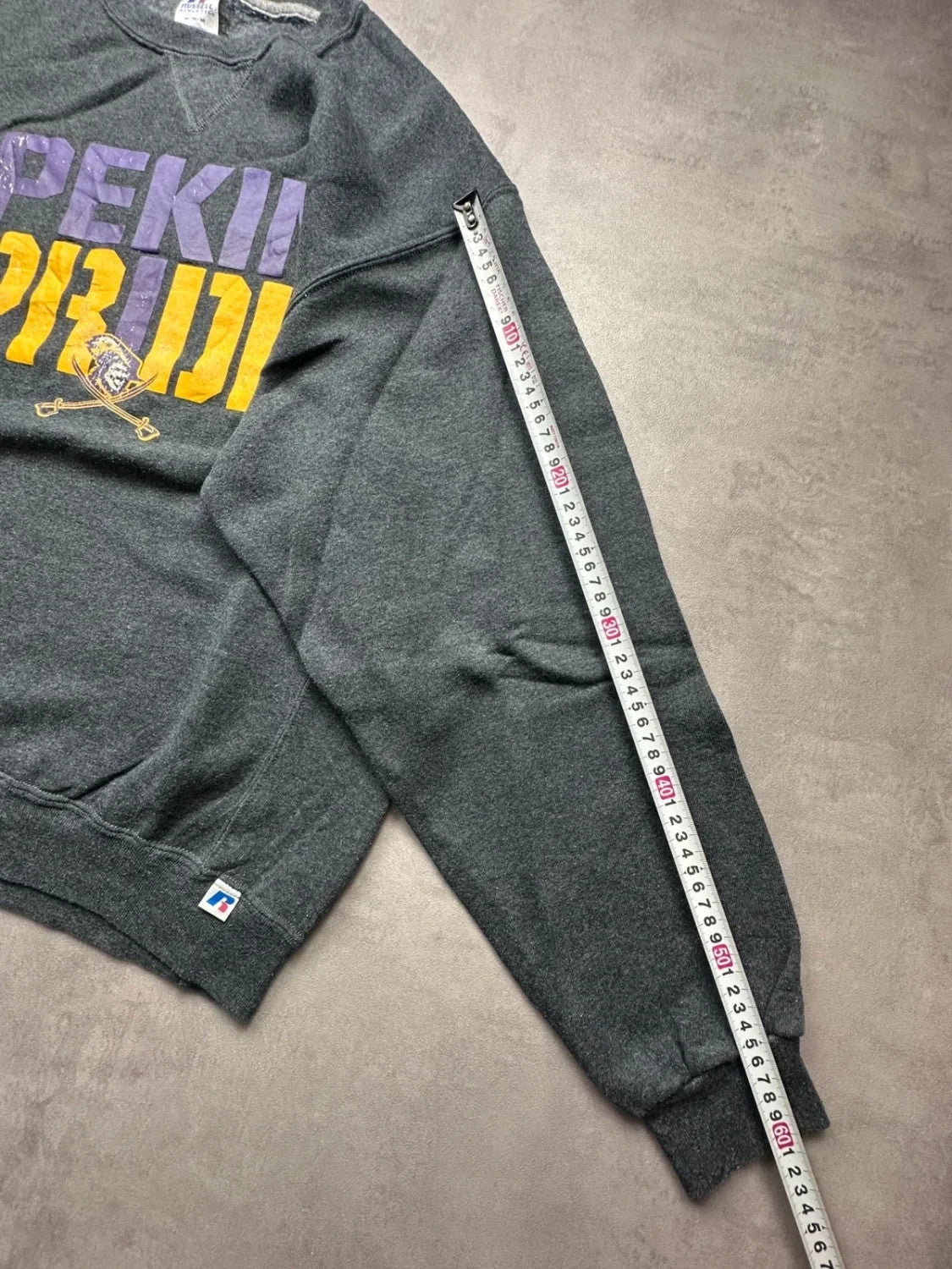 Sweat Russell Athletic Vintage Pekin Pride Gris Foncé