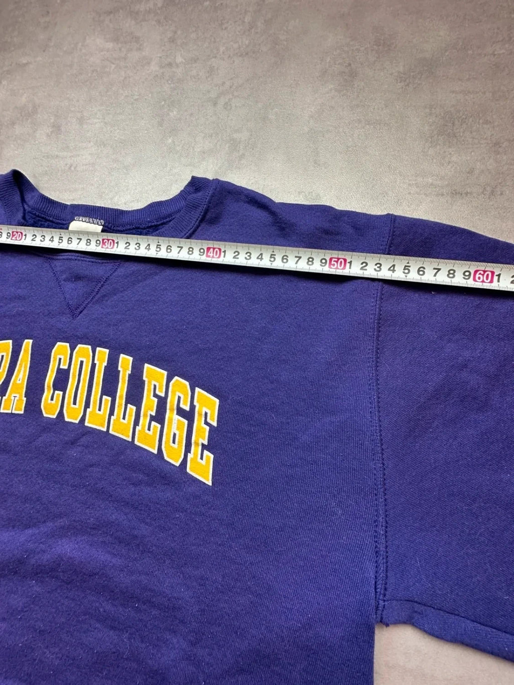 Sweat Russell Athletic Vintage Elmira College Violet – College USA