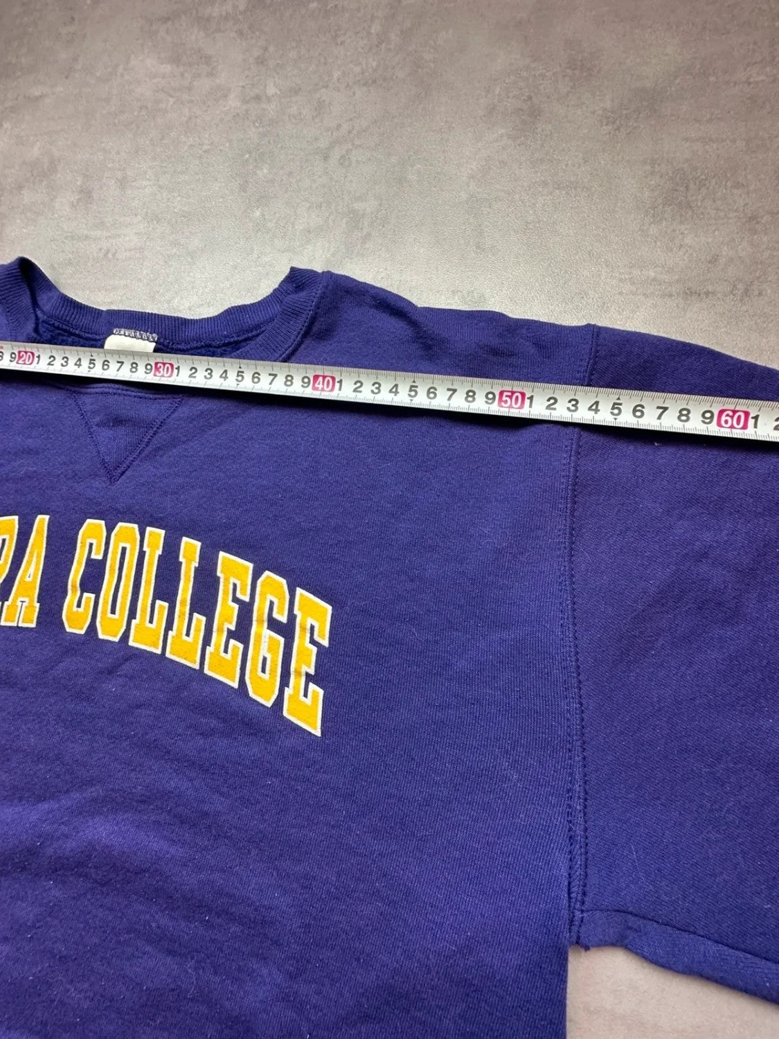 Sweat Russell Athletic Vintage Elmira College Violet – College USA