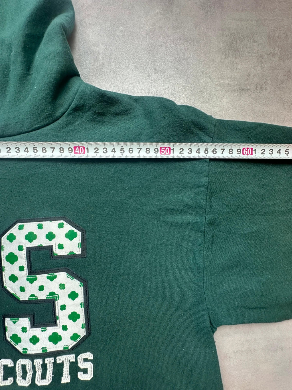 Hoodie Vintage Girl Scouts Heart of Michigan – Vert