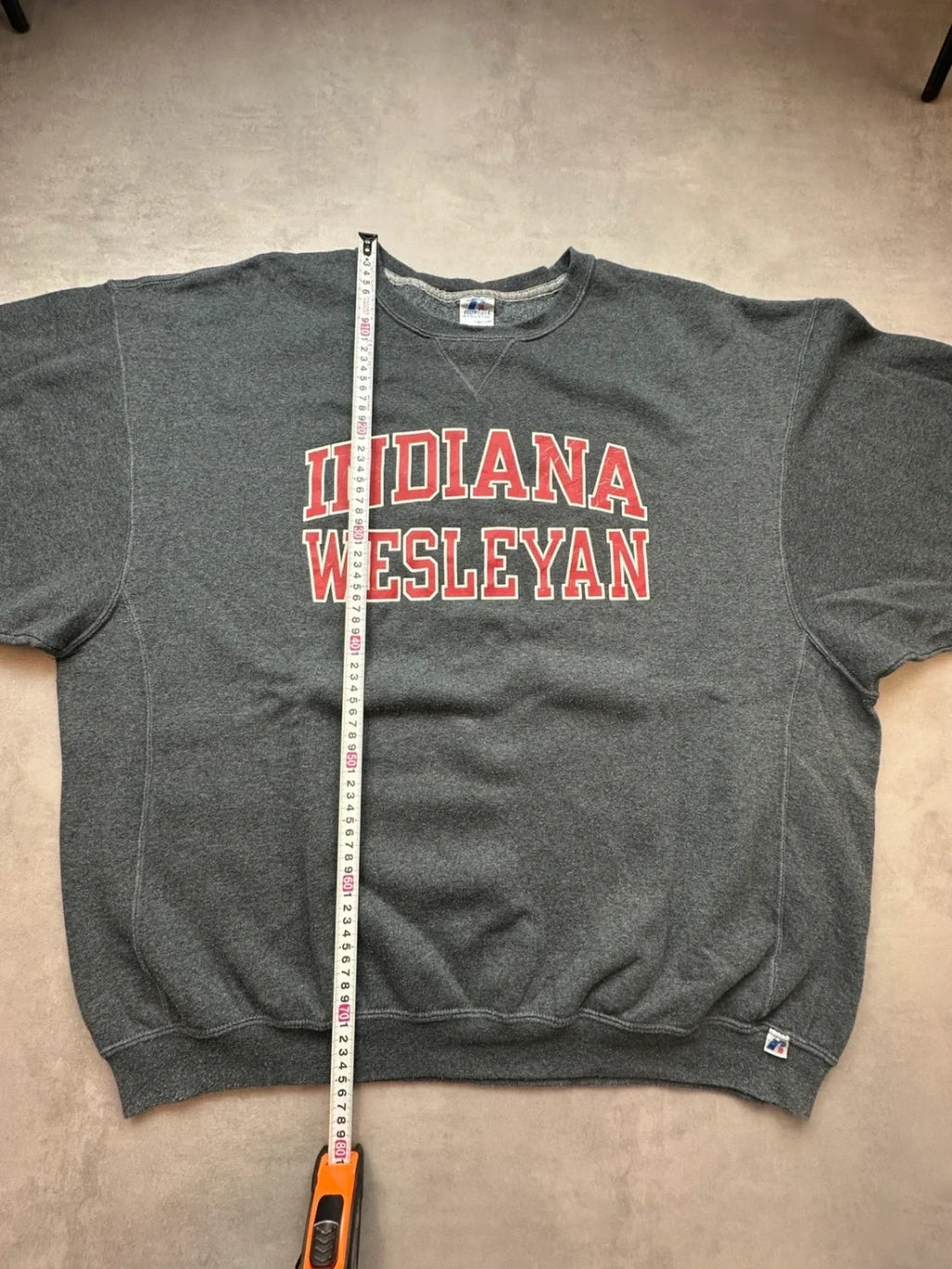 Sweat Russell Athletic Vintage Indiana Wesleyan Gris – College USA