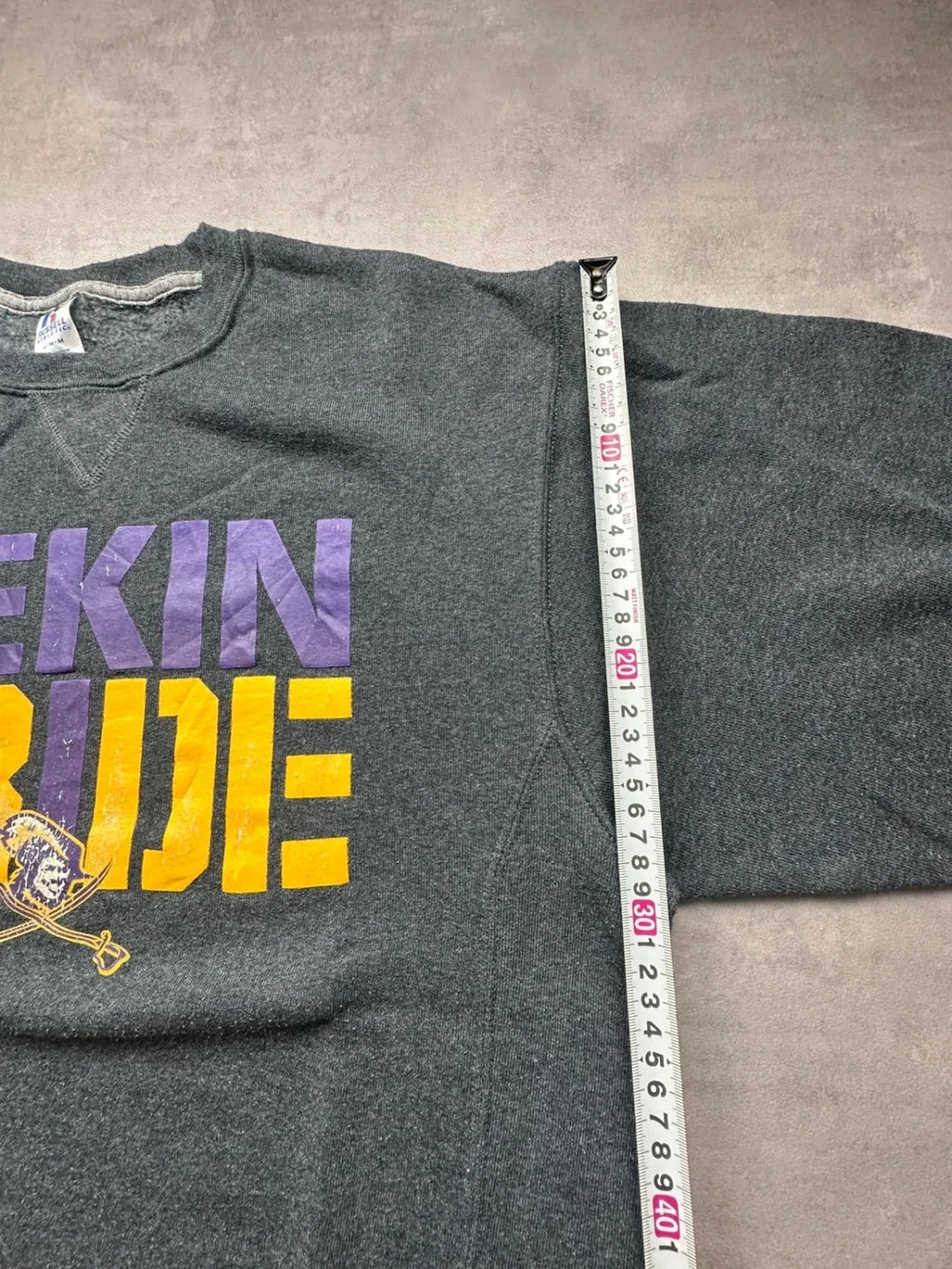 Sweat Russell Athletic Vintage Pekin Pride Gris Foncé