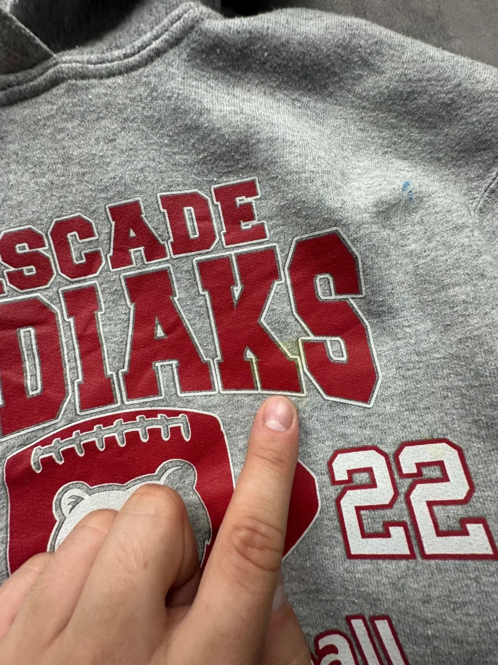 Sweat Vintage Cascade Kodiaks 2022 Gris
