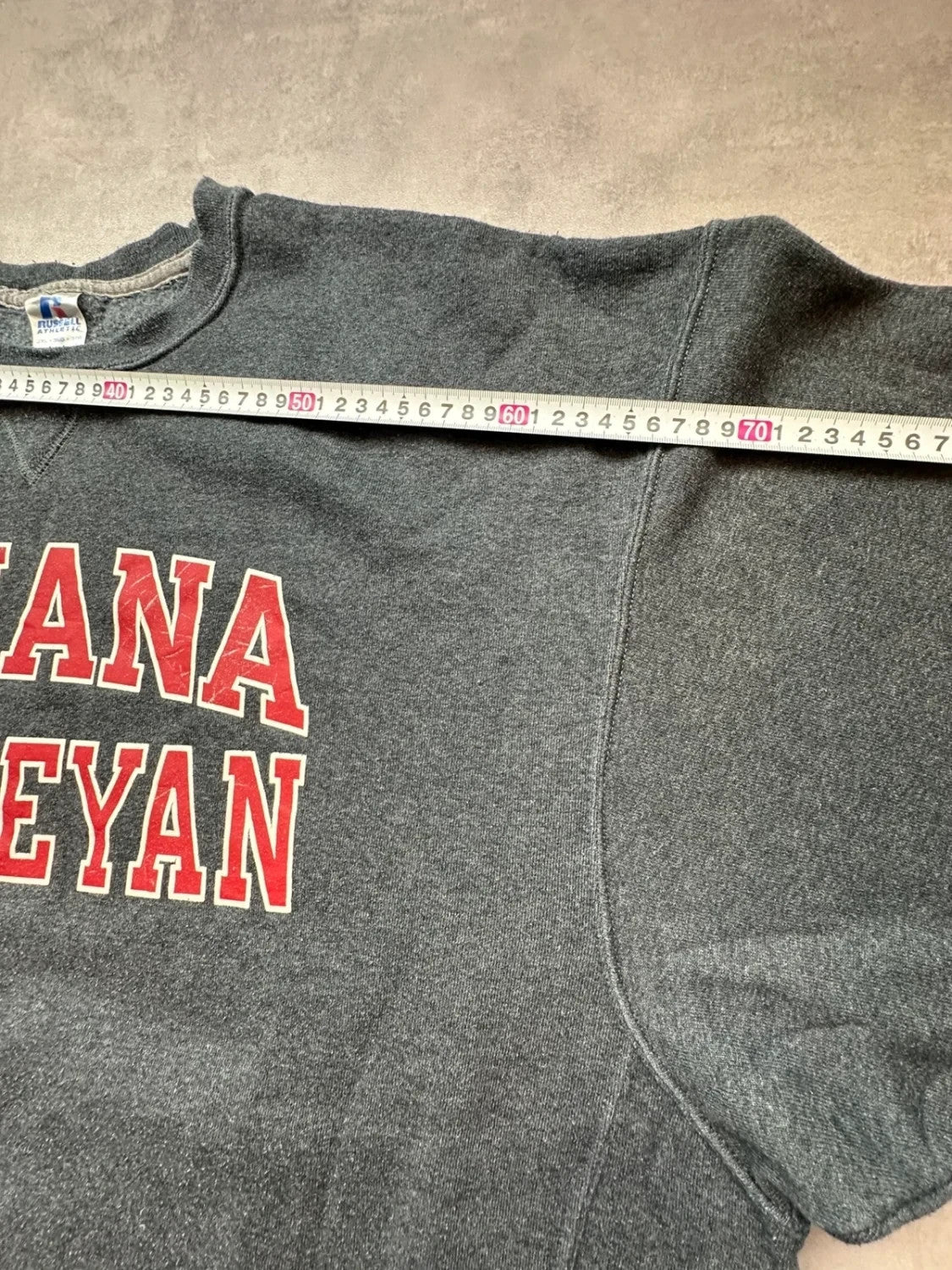 Sweat Russell Athletic Vintage Indiana Wesleyan Gris – College USA
